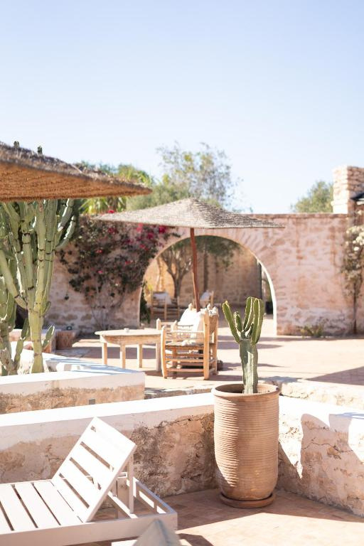 Belhazar — patio avec cactus et parasol